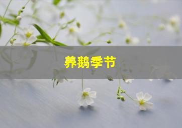 养鹅季节