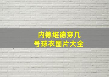 内德维德穿几号球衣图片大全