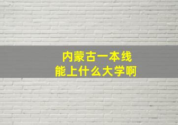 内蒙古一本线能上什么大学啊