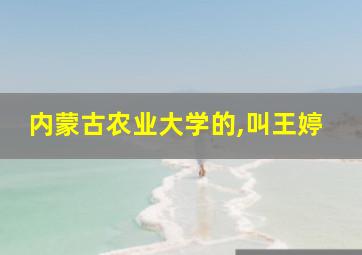 内蒙古农业大学的,叫王婷