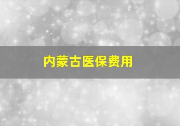 内蒙古医保费用