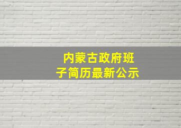 内蒙古政府班子简历最新公示