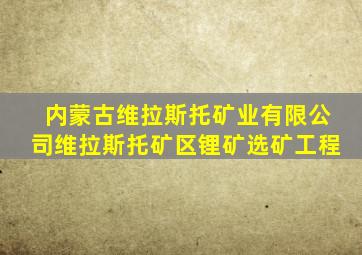 内蒙古维拉斯托矿业有限公司维拉斯托矿区锂矿选矿工程