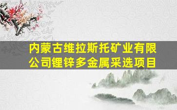 内蒙古维拉斯托矿业有限公司锂锌多金属采选项目