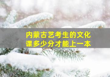 内蒙古艺考生的文化课多少分才能上一本