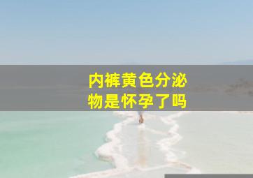 内裤黄色分泌物是怀孕了吗