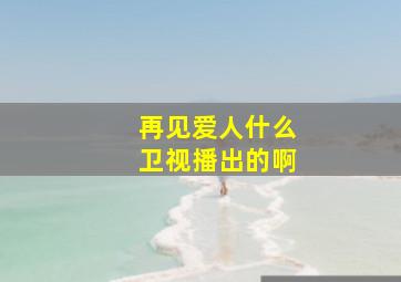 再见爱人什么卫视播出的啊