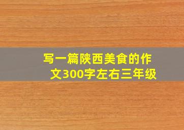 写一篇陕西美食的作文300字左右三年级