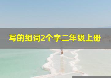 写的组词2个字二年级上册