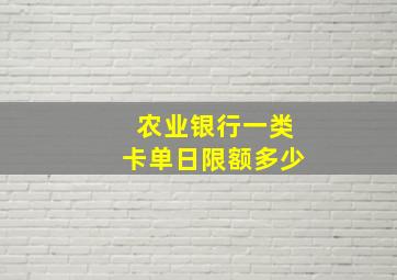 农业银行一类卡单日限额多少