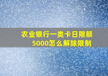 农业银行一类卡日限额5000怎么解除限制