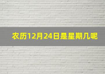 农历12月24日是星期几呢