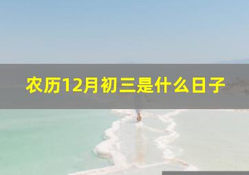 农历12月初三是什么日子