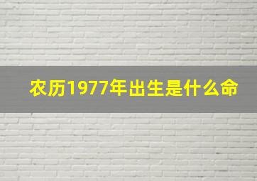 农历1977年出生是什么命