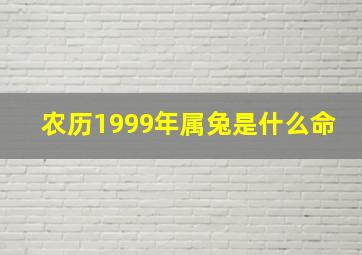 农历1999年属兔是什么命