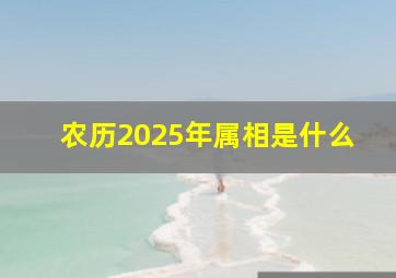 农历2025年属相是什么