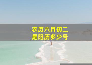 农历六月初二是阳历多少号