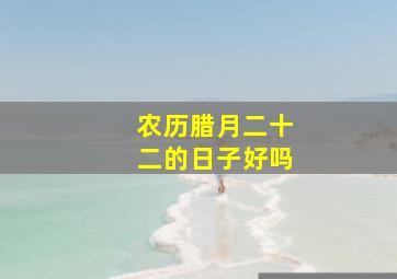 农历腊月二十二的日子好吗