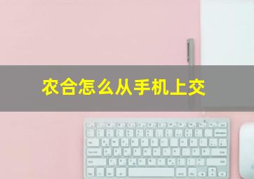 农合怎么从手机上交