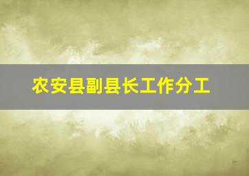 农安县副县长工作分工