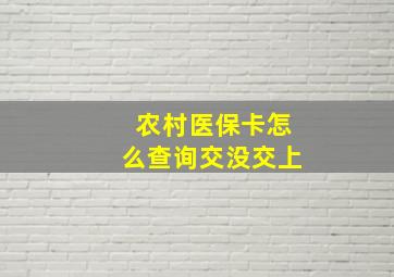 农村医保卡怎么查询交没交上