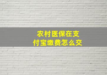 农村医保在支付宝缴费怎么交