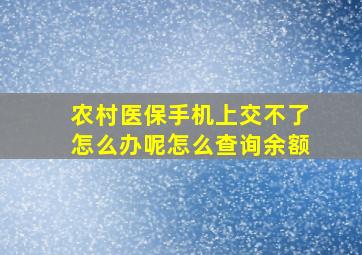 农村医保手机上交不了怎么办呢怎么查询余额