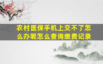 农村医保手机上交不了怎么办呢怎么查询缴费记录