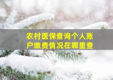 农村医保查询个人账户缴费情况在哪里查