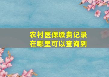 农村医保缴费记录在哪里可以查询到