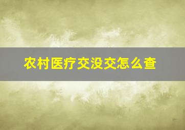 农村医疗交没交怎么查