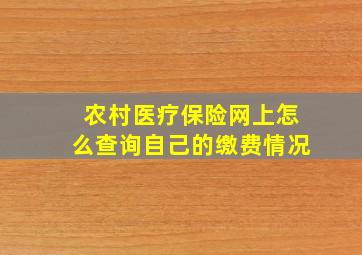 农村医疗保险网上怎么查询自己的缴费情况