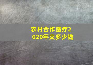 农村合作医疗2020年交多少钱