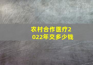 农村合作医疗2022年交多少钱