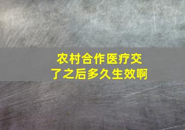 农村合作医疗交了之后多久生效啊