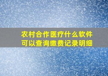 农村合作医疗什么软件可以查询缴费记录明细