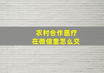 农村合作医疗在微信里怎么交