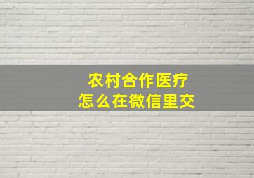 农村合作医疗怎么在微信里交