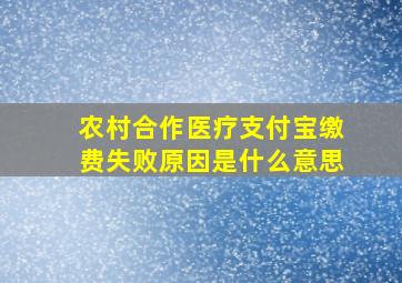 农村合作医疗支付宝缴费失败原因是什么意思