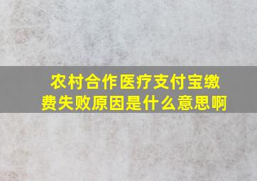 农村合作医疗支付宝缴费失败原因是什么意思啊