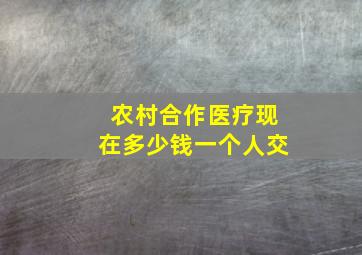 农村合作医疗现在多少钱一个人交