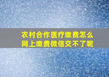 农村合作医疗缴费怎么网上缴费微信交不了呢