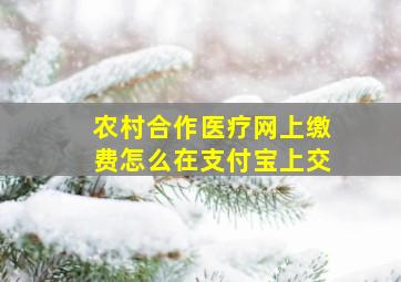 农村合作医疗网上缴费怎么在支付宝上交