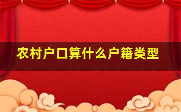 农村户口算什么户籍类型