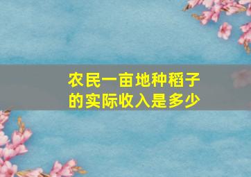 农民一亩地种稻子的实际收入是多少