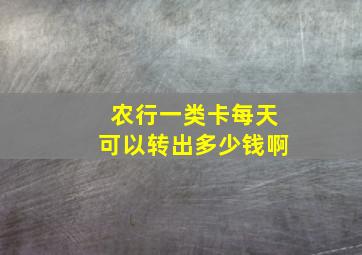 农行一类卡每天可以转出多少钱啊