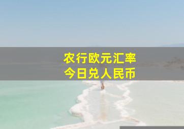 农行欧元汇率今日兑人民币