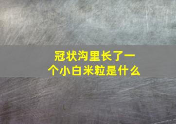 冠状沟里长了一个小白米粒是什么