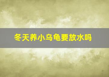 冬天养小乌龟要放水吗