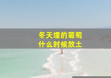 冬天埋的葡萄什么时候放土